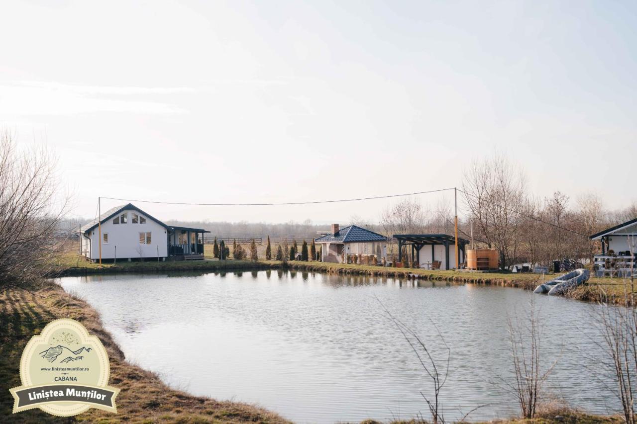 Linistea Muntilor Chalet Porumbacu de Sus Eksteriør bilde