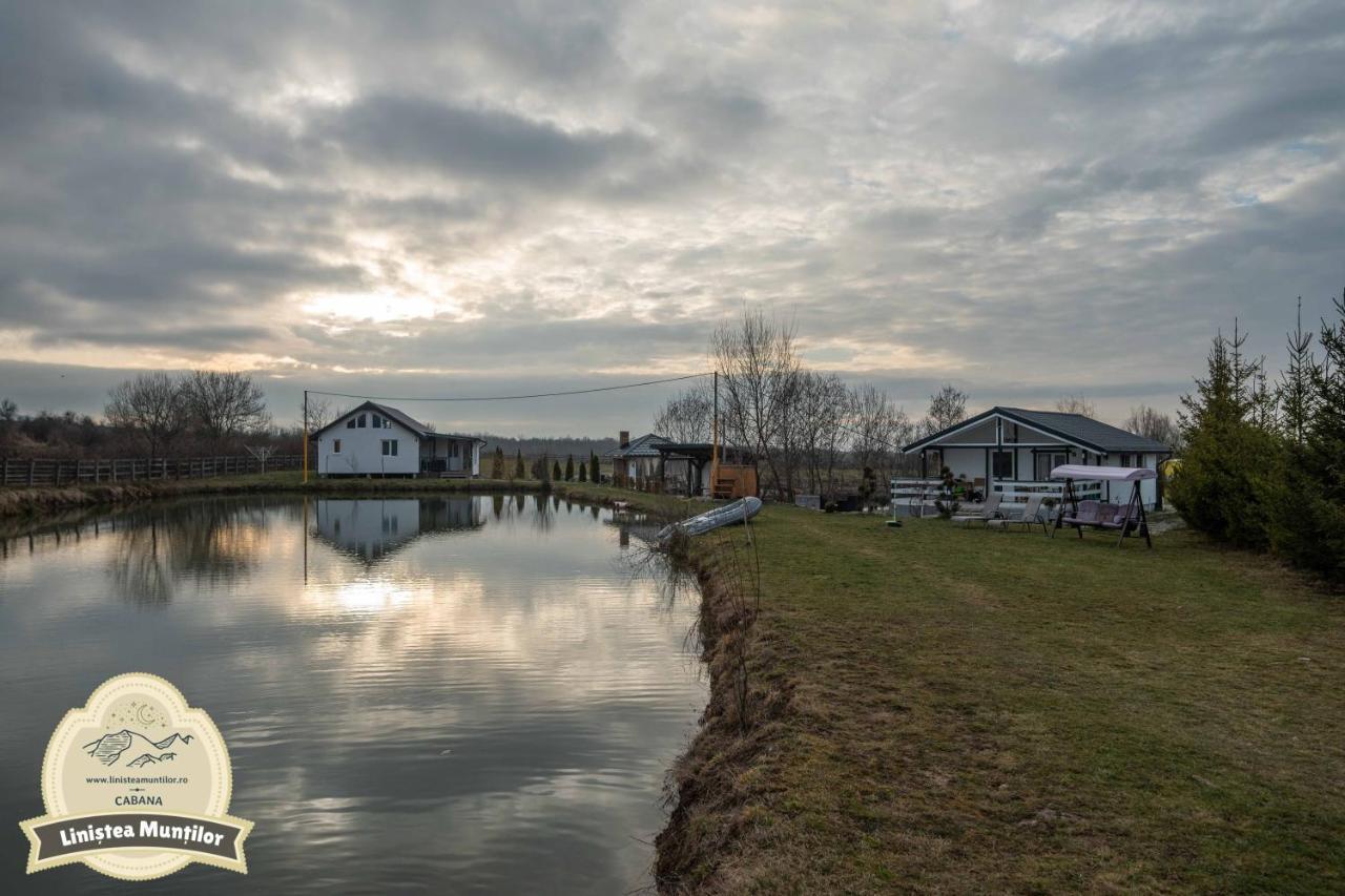 Linistea Muntilor Chalet Porumbacu de Sus Eksteriør bilde
