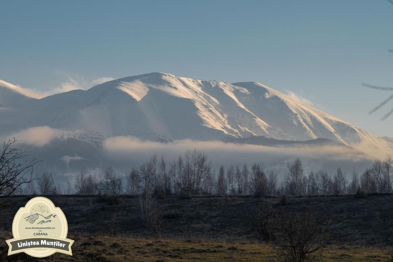 Linistea Muntilor Chalet Porumbacu de Sus Eksteriør bilde