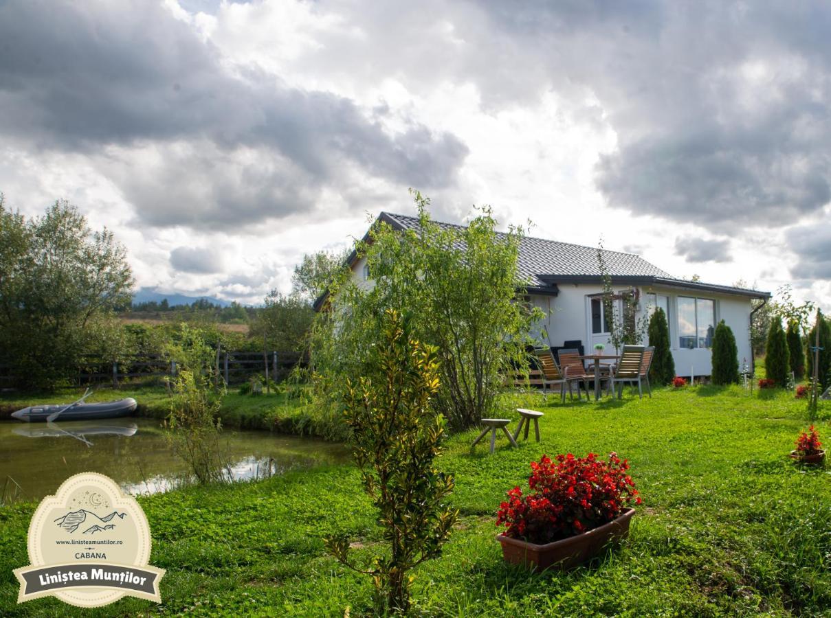 Linistea Muntilor Chalet Porumbacu de Sus Eksteriør bilde