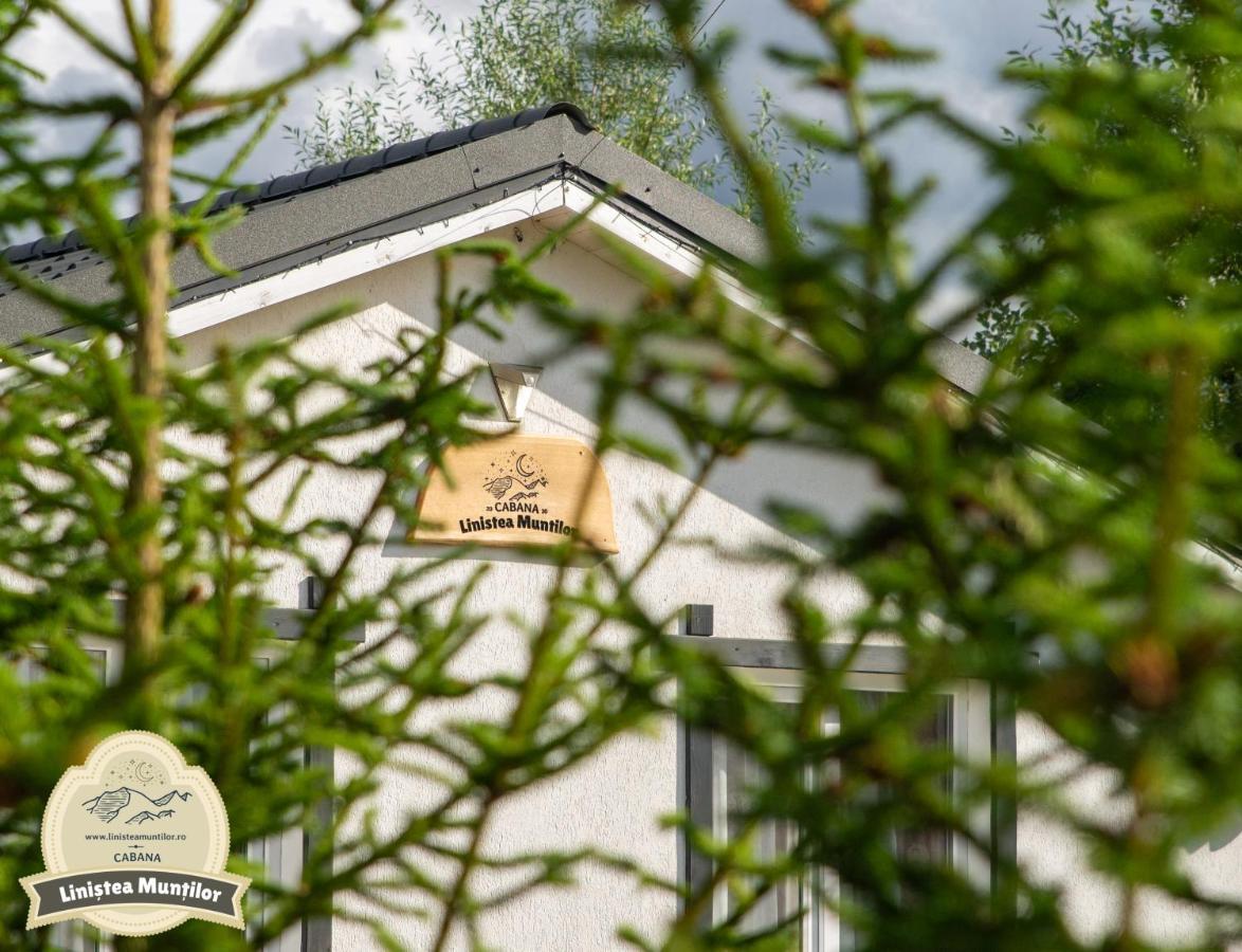 Linistea Muntilor Chalet Porumbacu de Sus Eksteriør bilde
