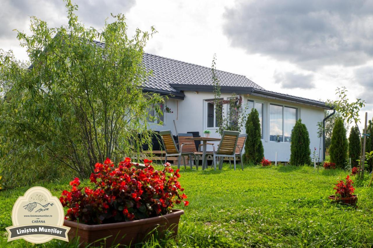 Linistea Muntilor Chalet Porumbacu de Sus Eksteriør bilde