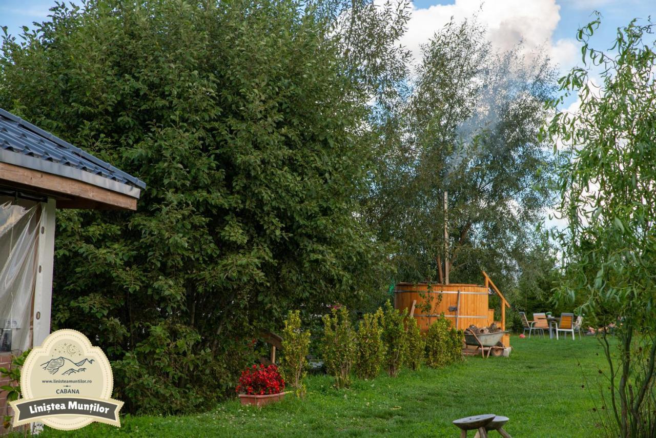 Linistea Muntilor Chalet Porumbacu de Sus Eksteriør bilde