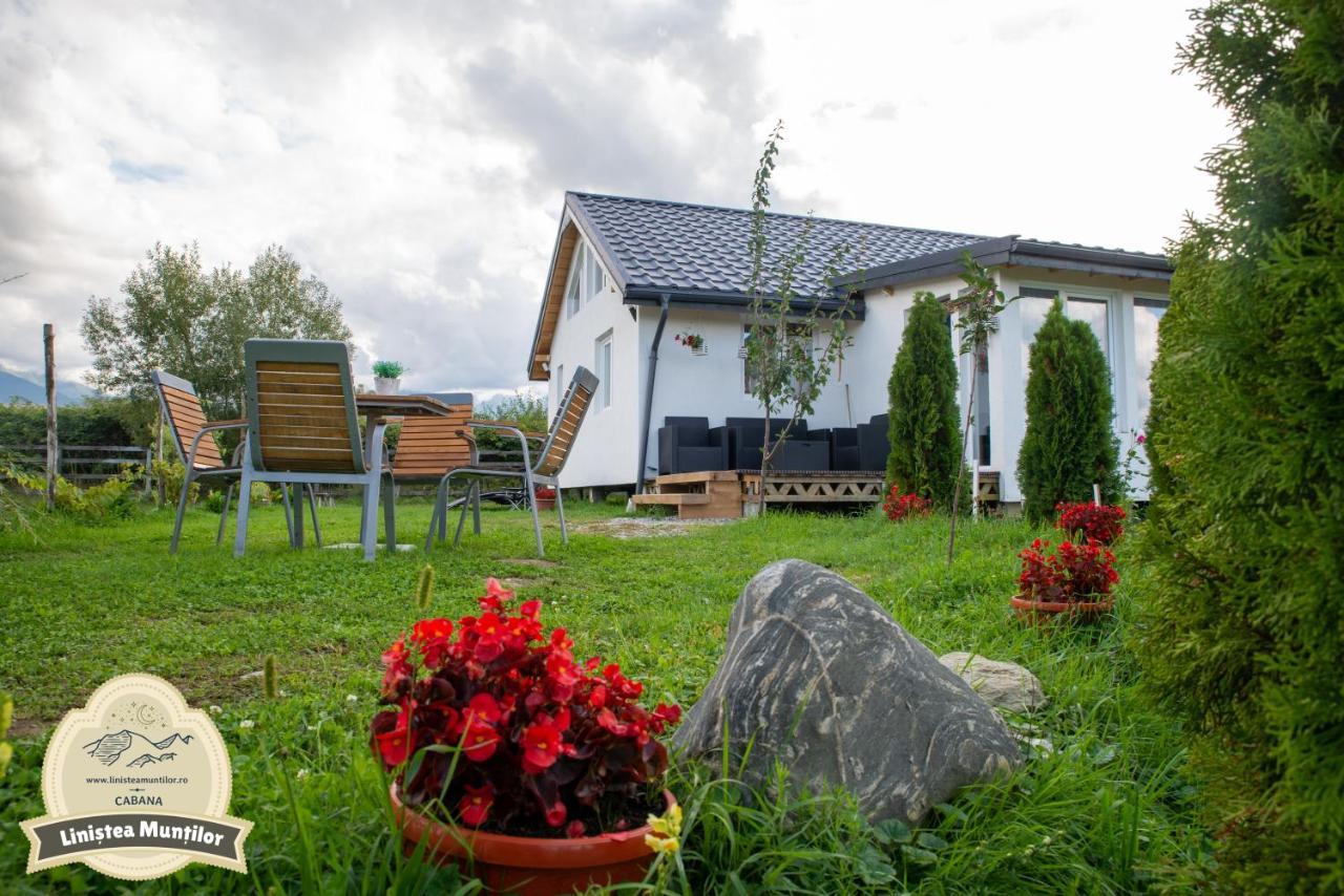 Linistea Muntilor Chalet Porumbacu de Sus Eksteriør bilde